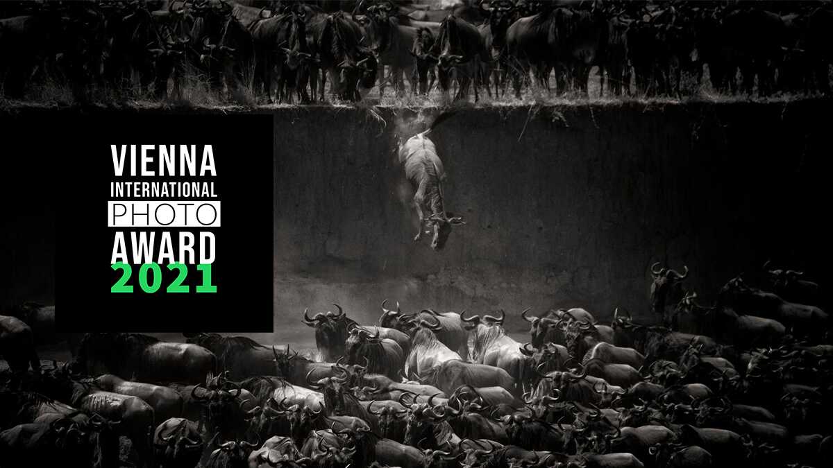 Viyana Uluslararası Fotoğraf Yarışması 2021 1 vipa 2021 header