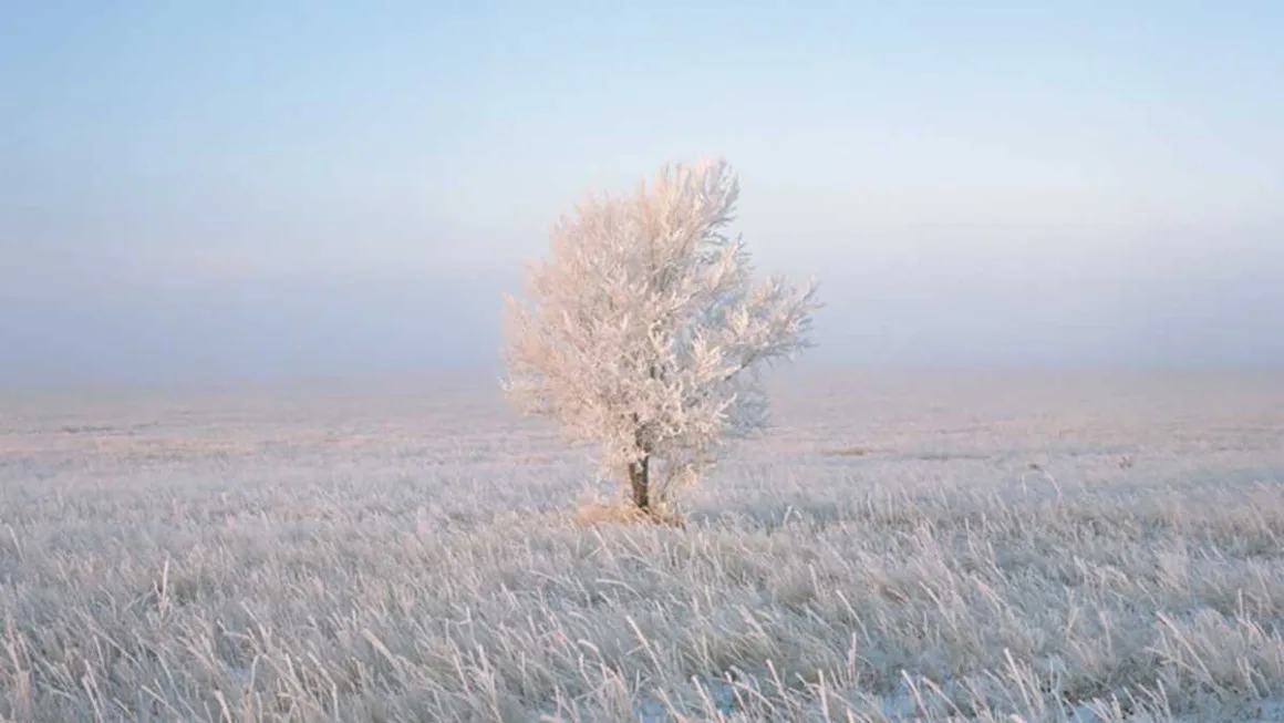 Bir Manzara Fotoğrafını Ne Etkileyici Yapar? 2 Bir Manzara Fotografini Ne Etkileyici Yapar header 1200x675 1160x653 jpg