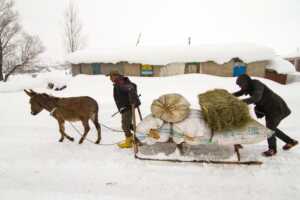 9c64a2c1 b50f 445e 924a 4a0568140466