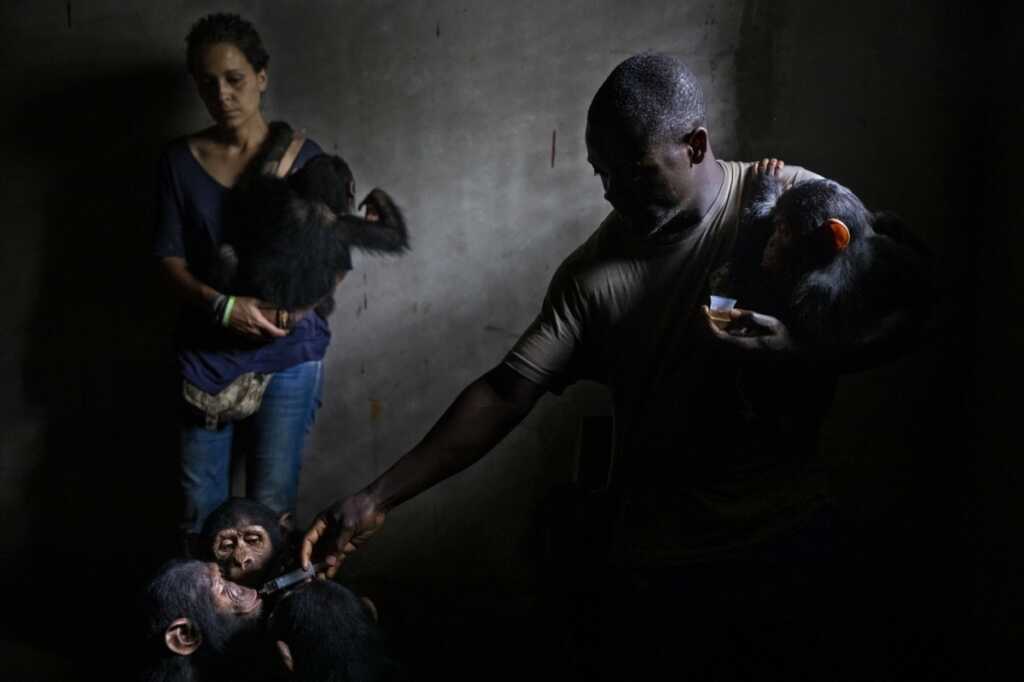 2021 Siena Uluslararası Fotoğraf Ödülleri 4 Brent Stirton 004