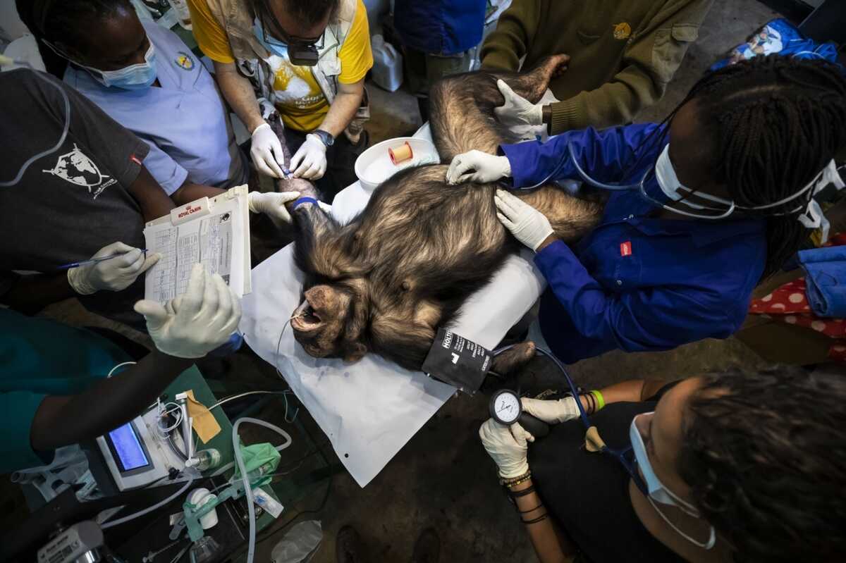 Brent Stirton 007 1