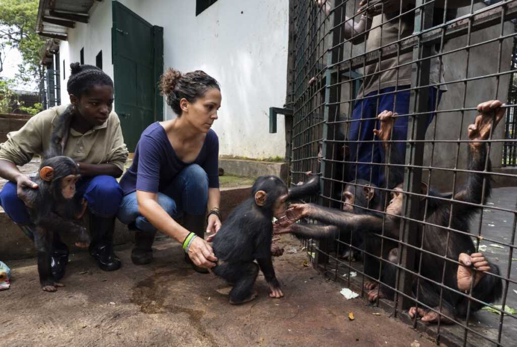 2021 Siena Uluslararası Fotoğraf Ödülleri 8 Brent Stirton 008 1