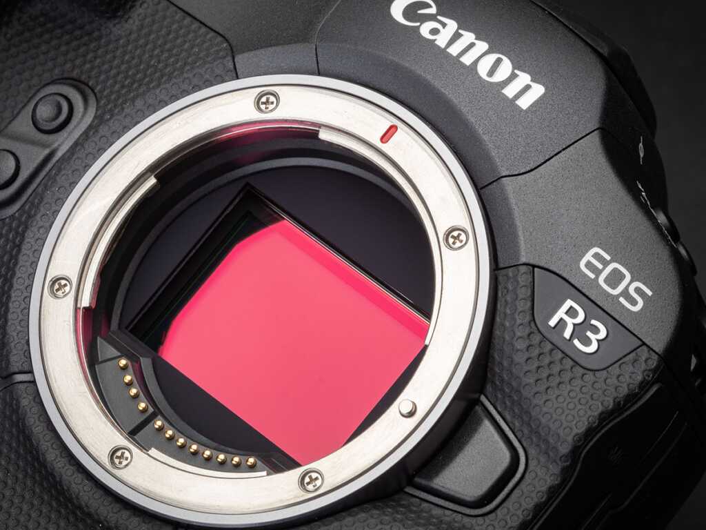 Canon EOS R3 ve Canon EOS R5 karşılaştırıldığında