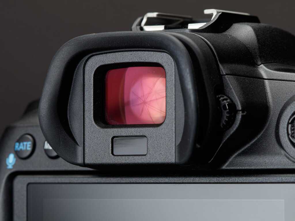 Canon EOS R3 ve Canon EOS R5 karşılaştırıldığında 2 Canon EOS R5 Viewfinder