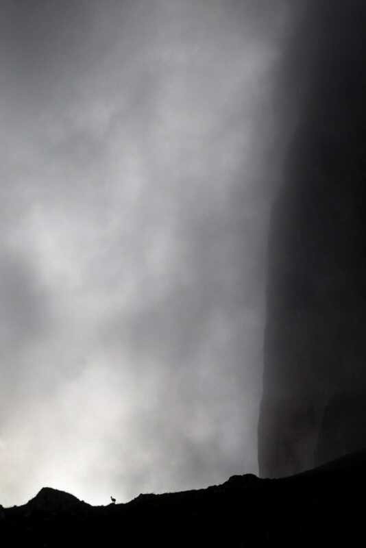 GDT Yılın Yaban Hayatı Fotoğrafçısı 2021 14 Emile Sechaud 01 534x800 1