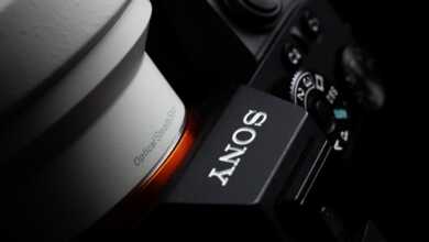 How Popular Is Each Line of Sonys Full Frame Mirrorless Cameras 800x420 1