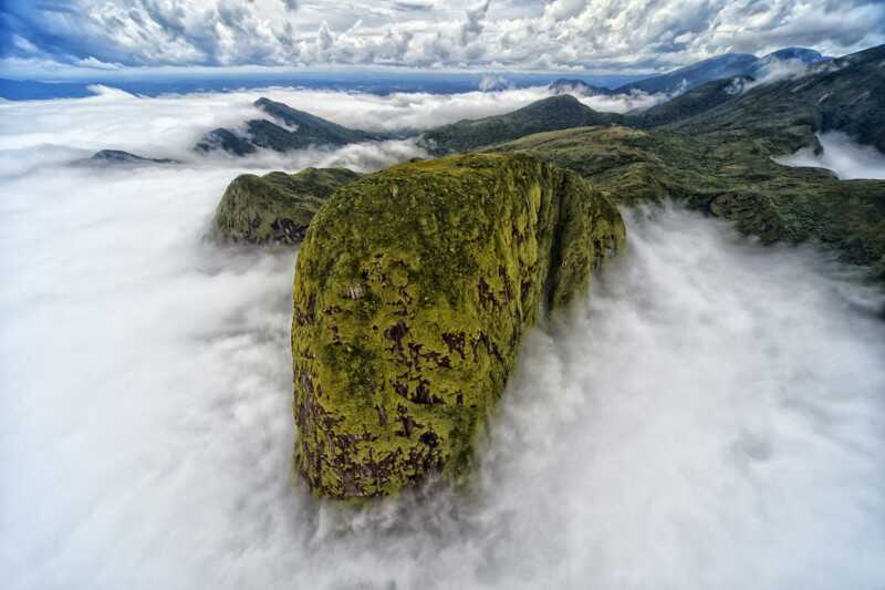 Kelebeklerle Çevrili Goril 2021 Küresel Fotoğraf Yarışmasını Kazandı 5 Landscape 2 DENIS FERREIRA NETTO 800x533 1
