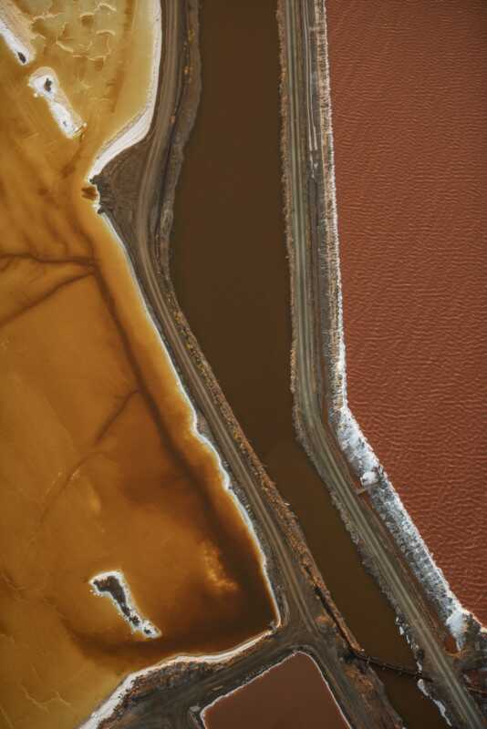 Kelebeklerle Çevrili Goril 2021 Küresel Fotoğraf Yarışmasını Kazandı 6 Landscape 3 JASSEN TODOROV 534x800 1