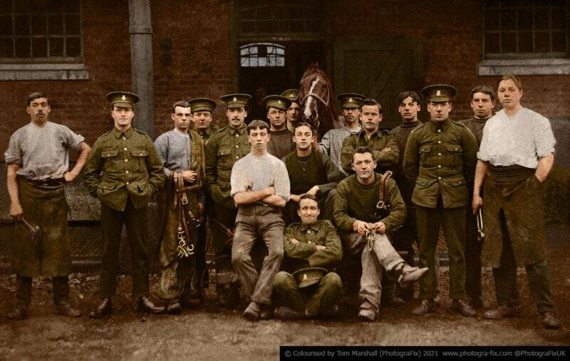 Tom Marshall : Savaş Zamanı Hayvanları 3 02 War Horse colorized tom marshall sanalsergi 2 800x507 1