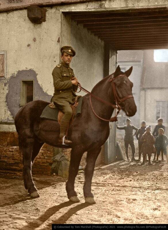 Tom Marshall : Savaş Zamanı Hayvanları 4 04 Horse colorized tom marshall sanalsergi 4 584x800 1