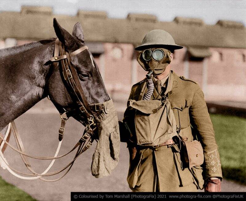 07 Canadian Soldier With Horse colorized tom marshall sanalsergi 7 800x654 1