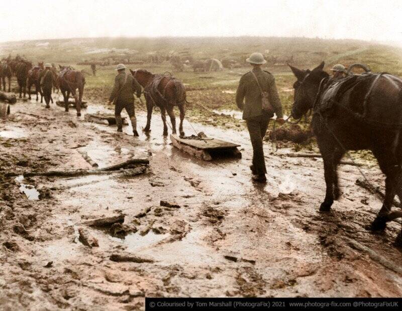 Tom Marshall : Savaş Zamanı Hayvanları 12 08 Horses in Mud colorized tom marshall sanalsergi 8 800x620 1