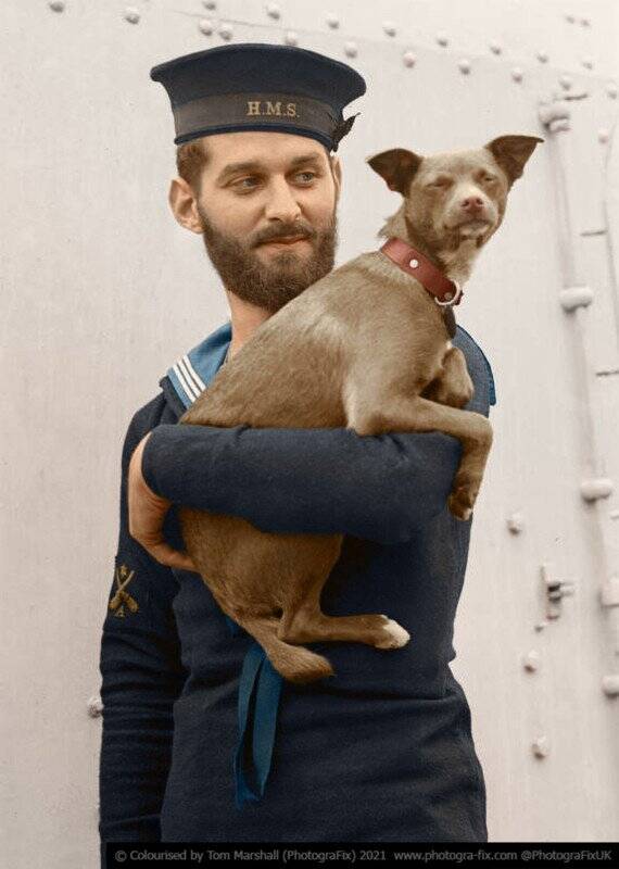 10 Navy Dog colorized tom marshall sanalsergi 10 570x800 1