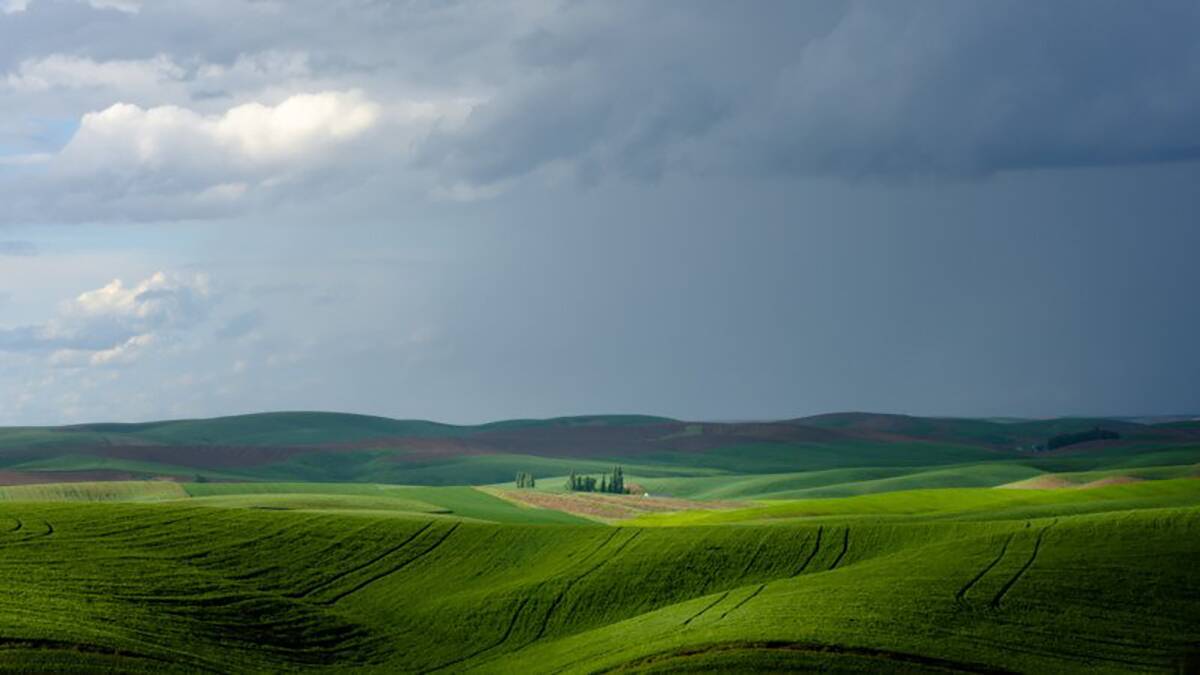 Bir Fotografin Konusu Onemlidir Ama Cercevenin Geri Kalanini Unutma header