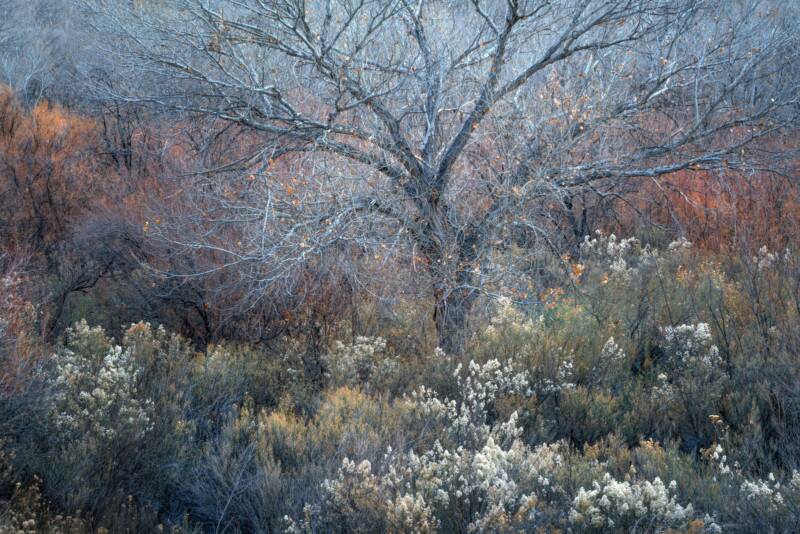 2021 Natural Landscape Photography Awards 3 Natural Landscape Photography Awards 002