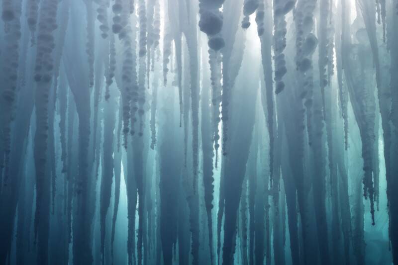 2021 Natural Landscape Photography Awards 4 Natural Landscape Photography Awards 003