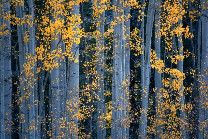2021 Natural Landscape Photography Awards 6 Natural Landscape Photography Awards 005
