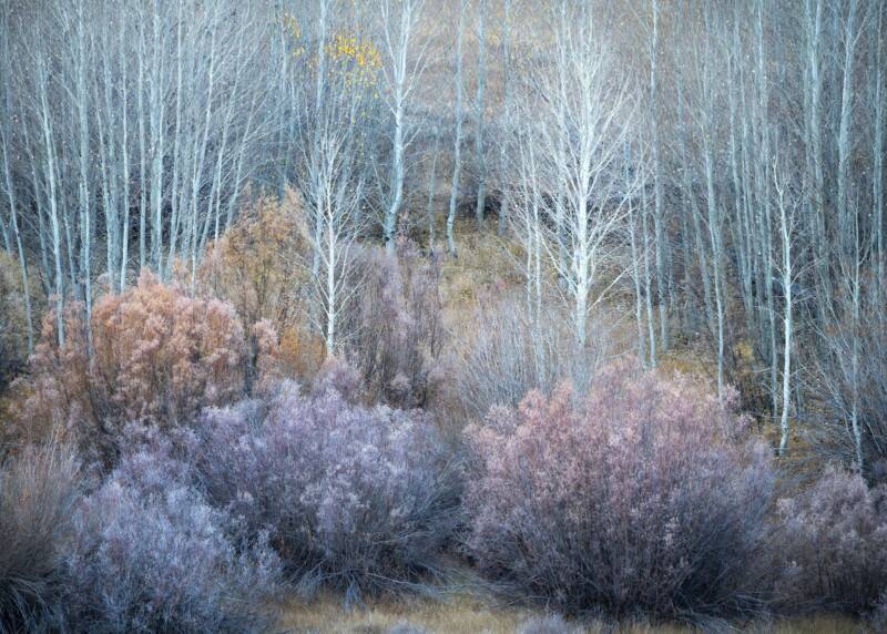 2021 Natural Landscape Photography Awards 10 Natural Landscape Photography Awards 009