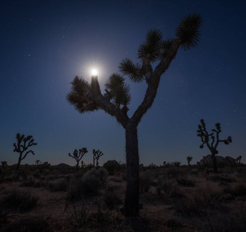 2021 Natural Landscape Photography Awards 13 Natural Landscape Photography Awards 012