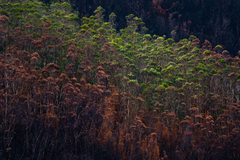 2021 Natural Landscape Photography Awards 17 Natural Landscape Photography Awards 016