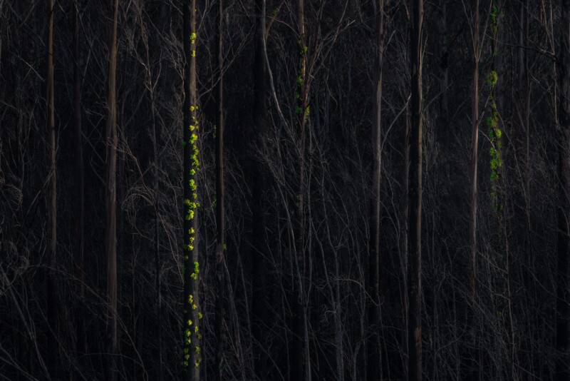 2021 Natural Landscape Photography Awards 20 Natural Landscape Photography Awards 019