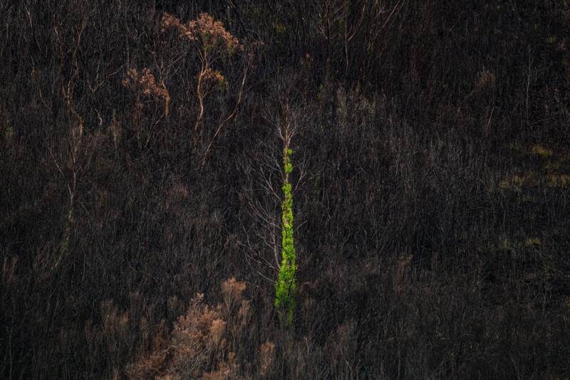 2021 Natural Landscape Photography Awards 22 Natural Landscape Photography Awards 021