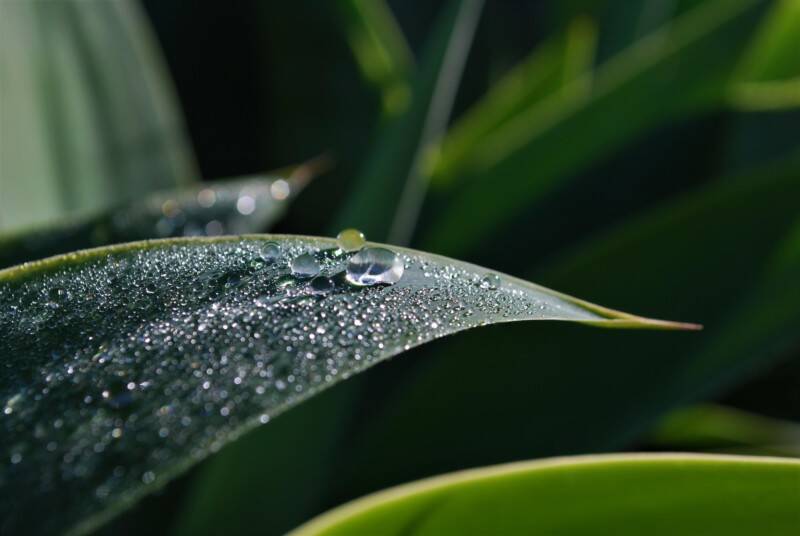 Runner Up Young Weather Photographer of the Year Photo © Fynn Gardner 800x536 1