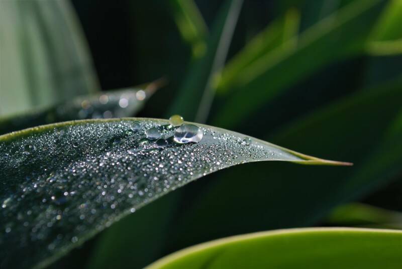 Weather Photographer of the Year 2021 1 Runner Up Young Weather Photographer of the Year Photo © Fynn Gardner 800x536 1