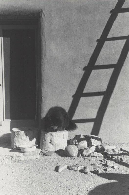Georgia O'Keeffe'den Nadir ve Büyük ölçüde Görülmemiş Fotoğraflar Dizisi 15 20 OKeeffe Bo II EX 2021 GO 058 528x800 1