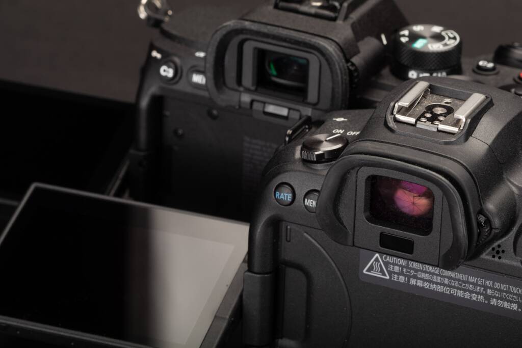 Sony a7IV Canon EOS R6 viewfinder screens