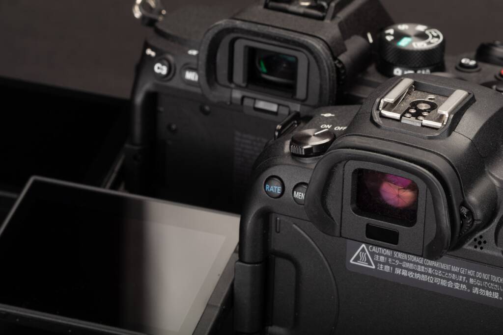Sony a7 IV vs Canon EOS R6 1 Sony a7IV Canon EOS R6 viewfinder screens