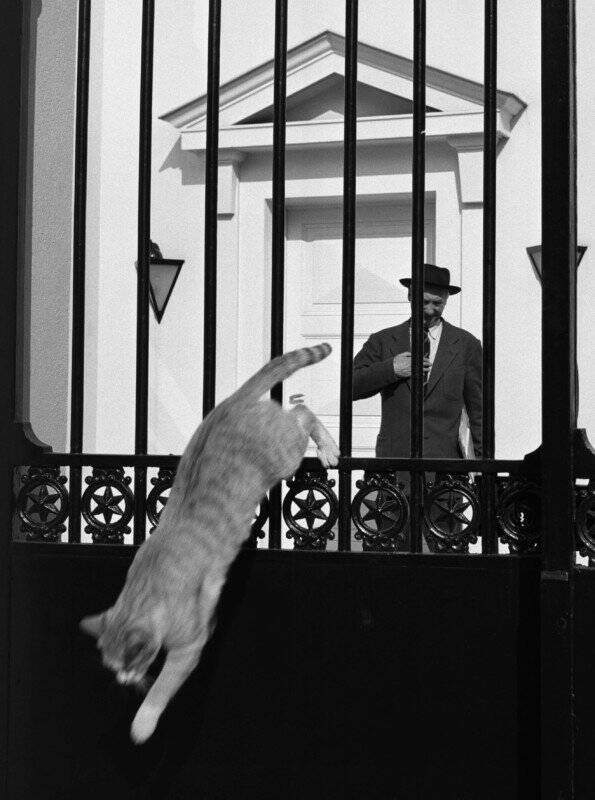 Sokak Fotoğrafçılığı Simgesi Sabine Weiss 97 Yaşında Öldü 6 sabine weiss street photographer 2 595x800 1