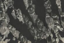 Deklansor ile Barutcu bir araya gelince header