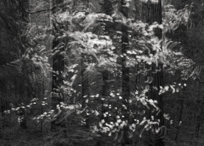 Görsel Dilden Yararlanma ve Bir Fotoğrafta 'Ruh Hali' Nasıl Yakalanır 9 MichaelFryeJune 9 2 800x574 1