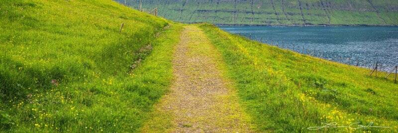 Faroe Adaları'nın Canlı, Yemyeşil Manzarasını Fotoğraflamak 14 Path Of Inner Peace Coastal Wildflowers Faroe Islands Gintchin Fine Art 800x267 1