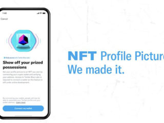 Twitter Twitter Blue Aboneleri icin NFT Profil Resimlerini Baslatti