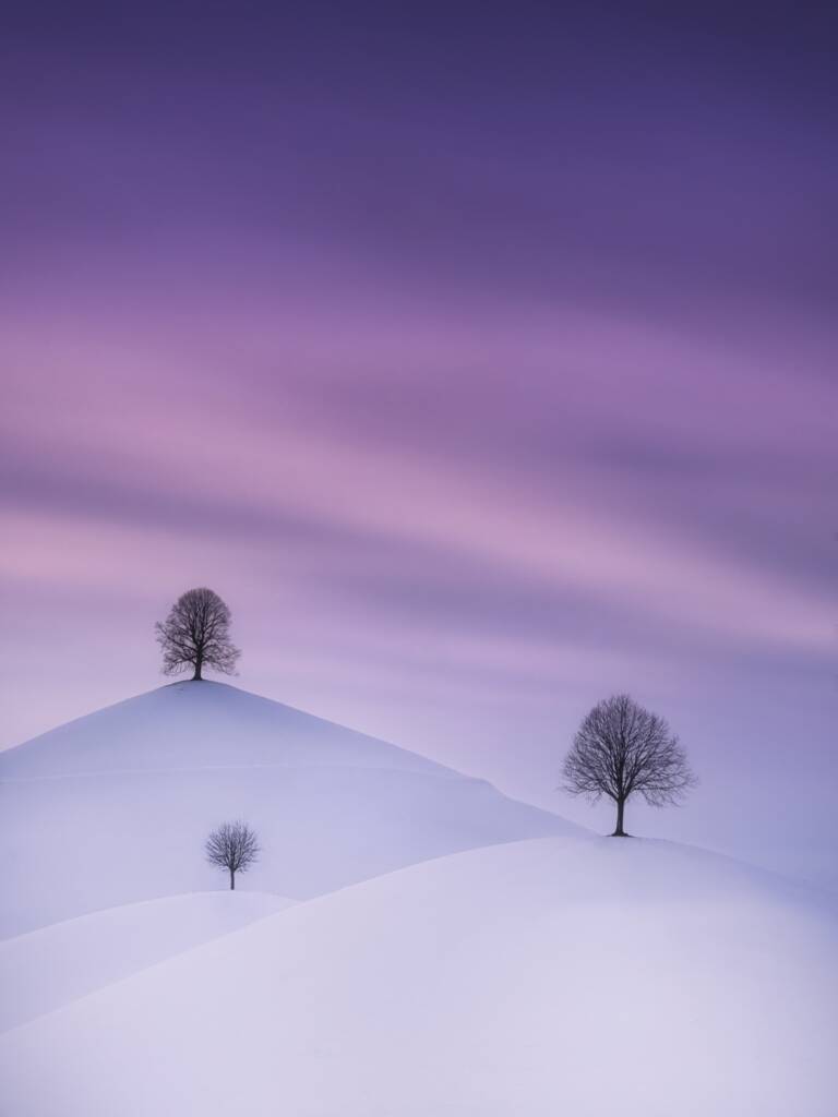 28975 Cédric Tamani The Drumlins in Winter