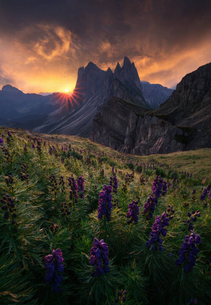 31250 AndreaZappia EpicSunrise