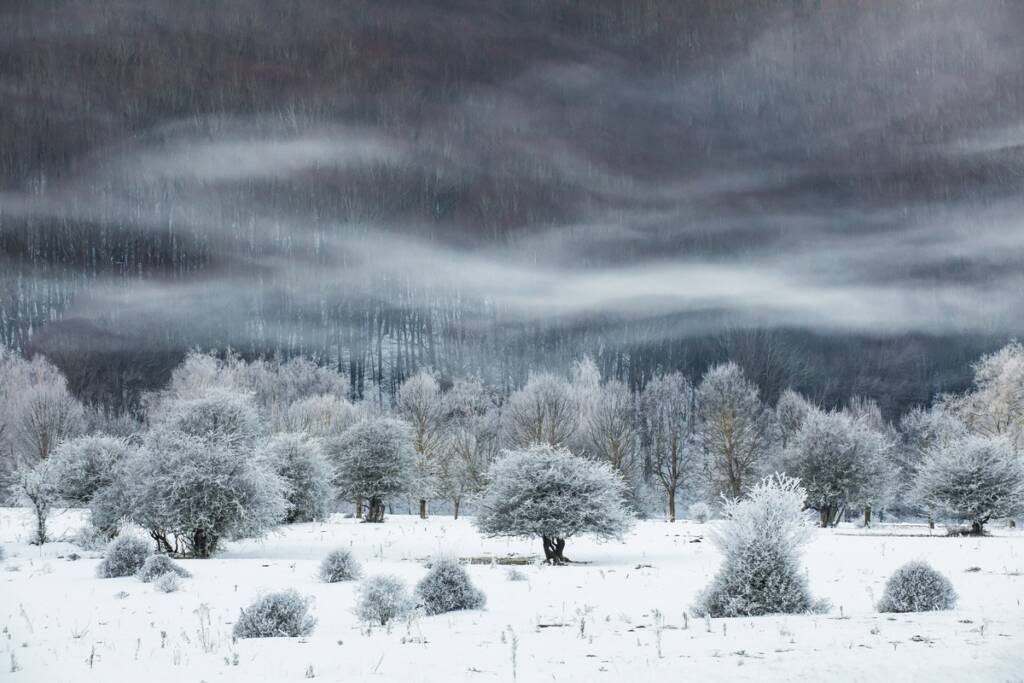 32711 Mimmo Salierno The Winter of the Lake