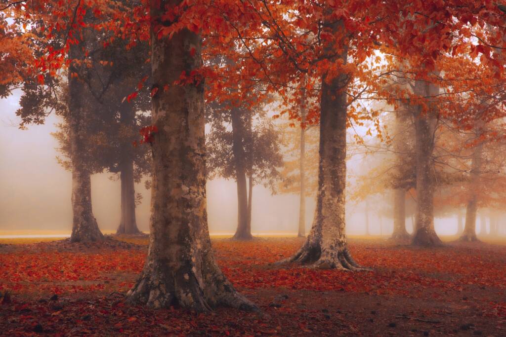 2021 Yılın Seyahat Fotoğrafçısı (TPOTY) 4 9 YTPOTY 2021 Win JShet
