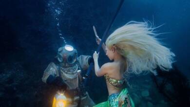 Brett Stanley : The Diver ve Mermaid 8 Dalgic ve Deniz Kizi