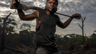 Sony Dunya Fotograf Odulleri 2022 Pro Finalistleri header