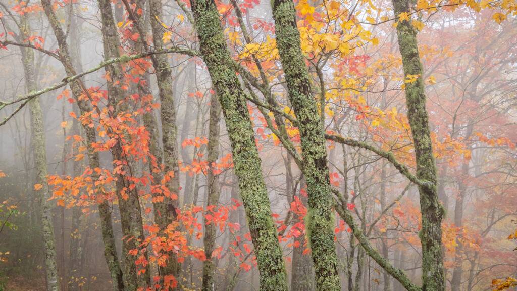 Yagmurda Guzel Fotograflar Cekmek Icin 10 Ipucu header