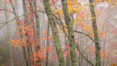 Yagmurda Guzel Fotograflar Cekmek Icin 10 Ipucu header
