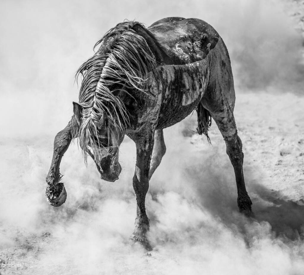 2022 Sony World Photography Awards: Açık Yarışma Kazananlar ve Kısa Liste 2 Sony World Photography Awards
