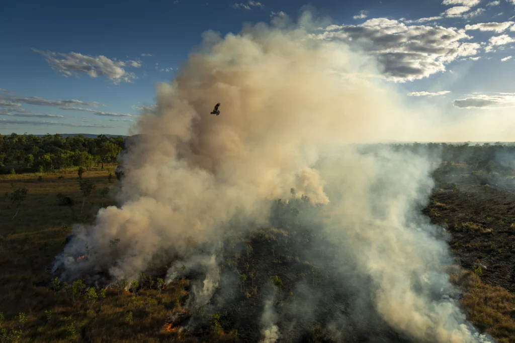 126 Southeast Asia and Oceania Stories Matthew Abbott for National Geographic Panos Pictures