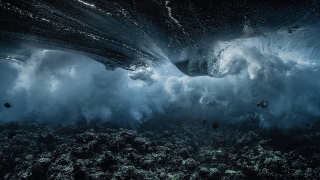 2021 Annual Photography Awards Kazananları 2 2021 Annual Photography Awards 004
