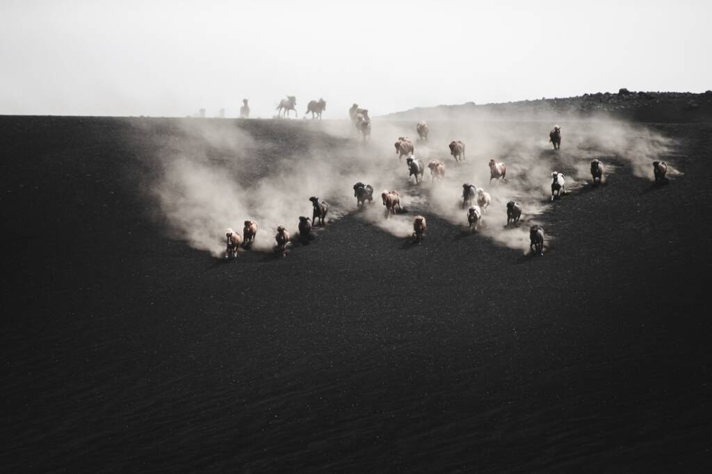 2021 Annual Photography Awards Kazananları 2 2021 Annual Photography Awards 008