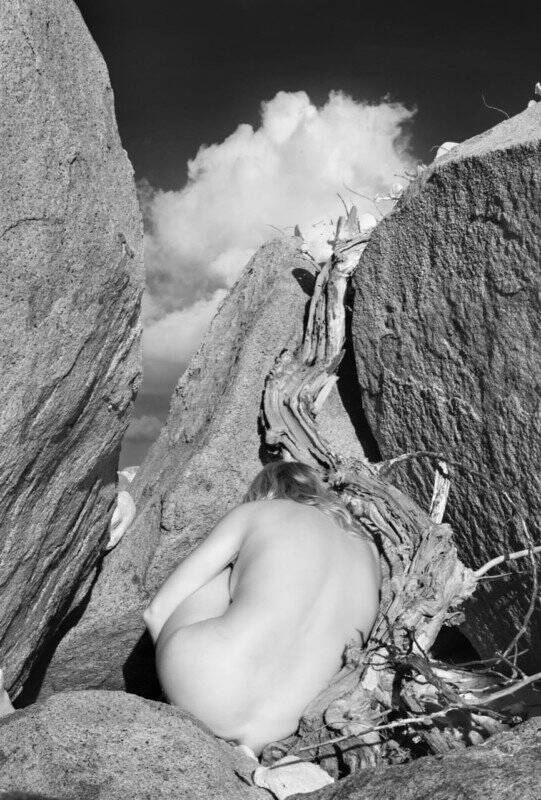 Bir Öğrencinin Hayatı Boyunca Ansel Adams'ı Hatırlamak 8 43 Ancient Nesting