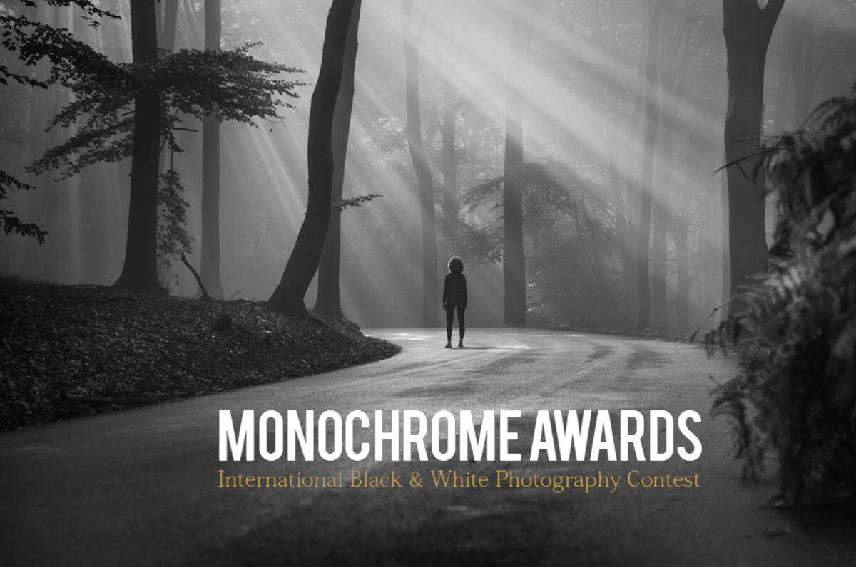 Monochrome Awards 2022 header